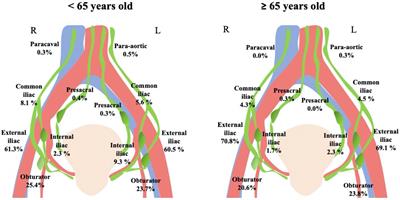 Sentinel Lymph Node in Aged Endometrial Cancer Patients “The SAGE Study”: A Multicenter Experience